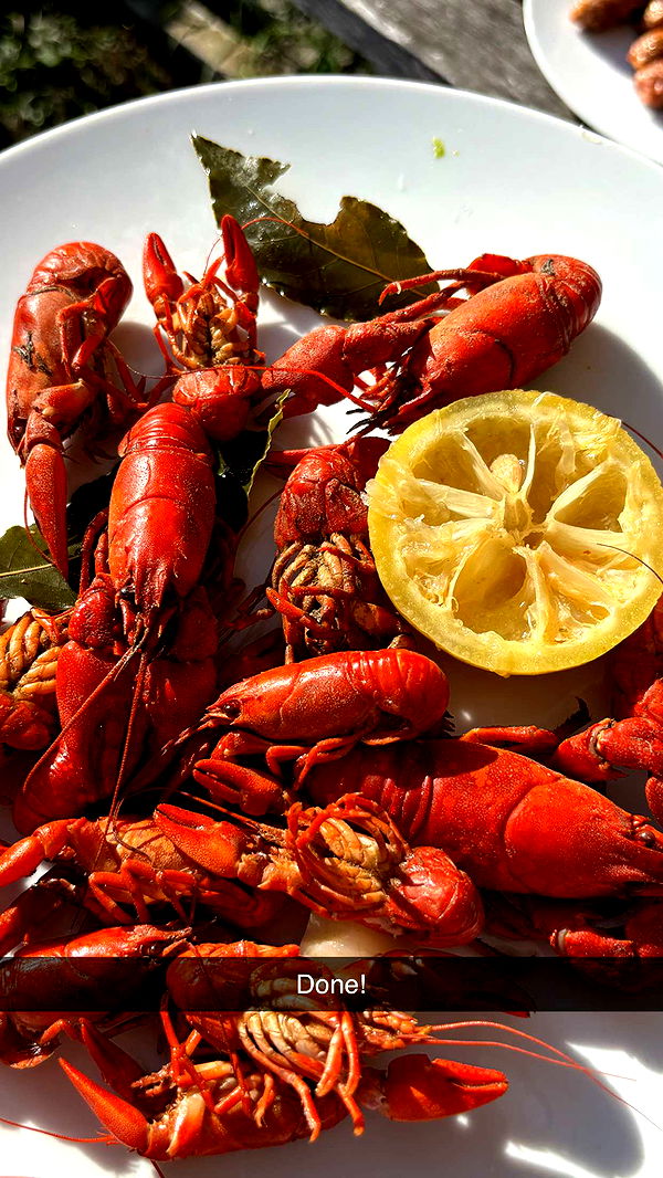 joell_perry image ~ Altpins