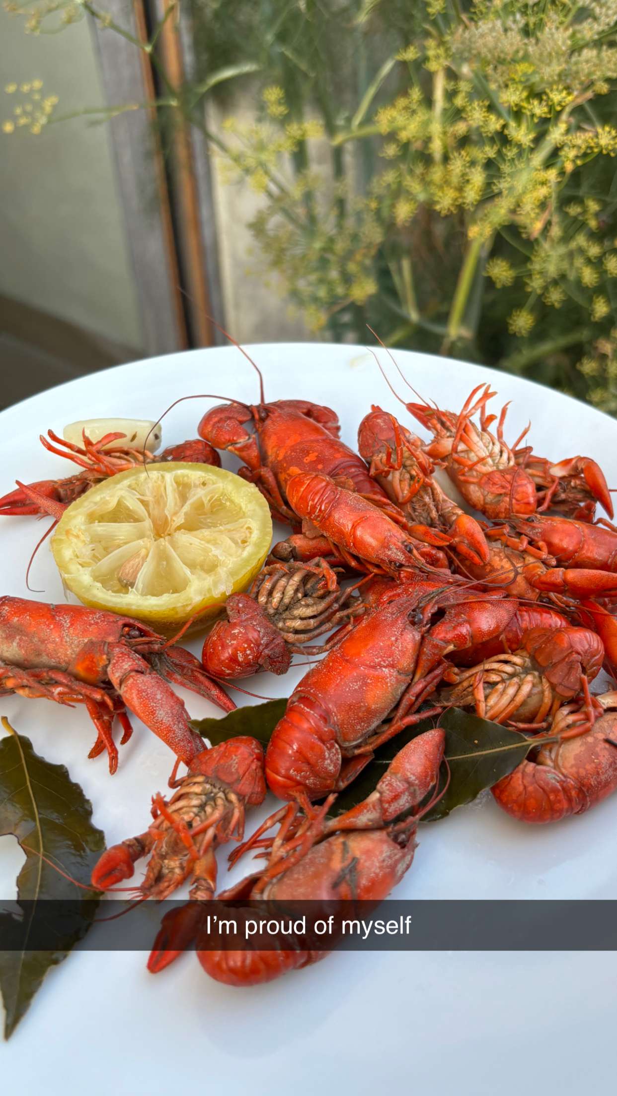 joell_perry snapchat image archive image