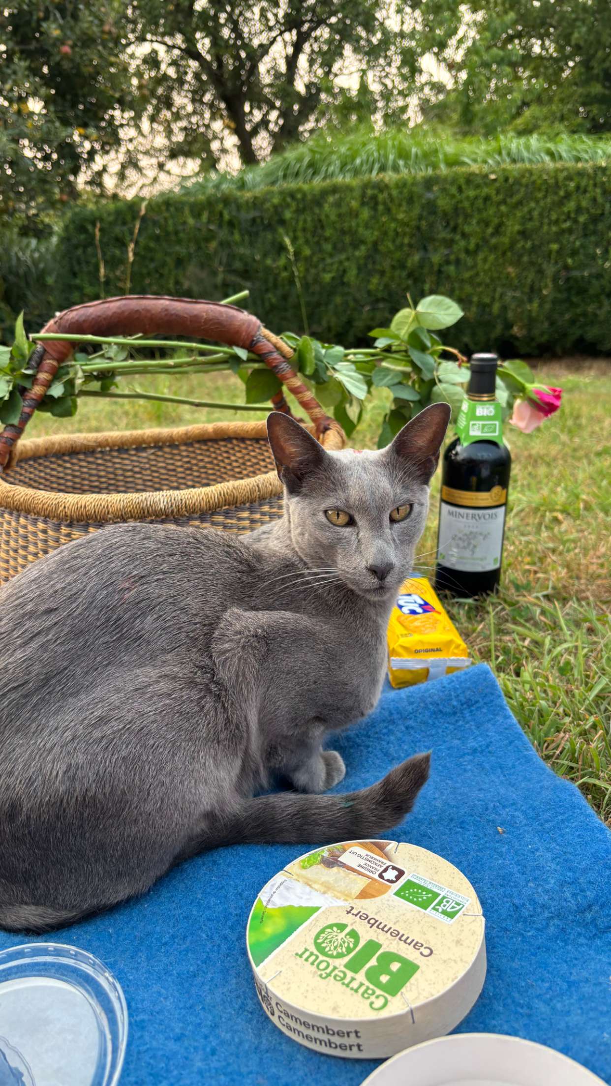 joell_perry snapchat image archive image