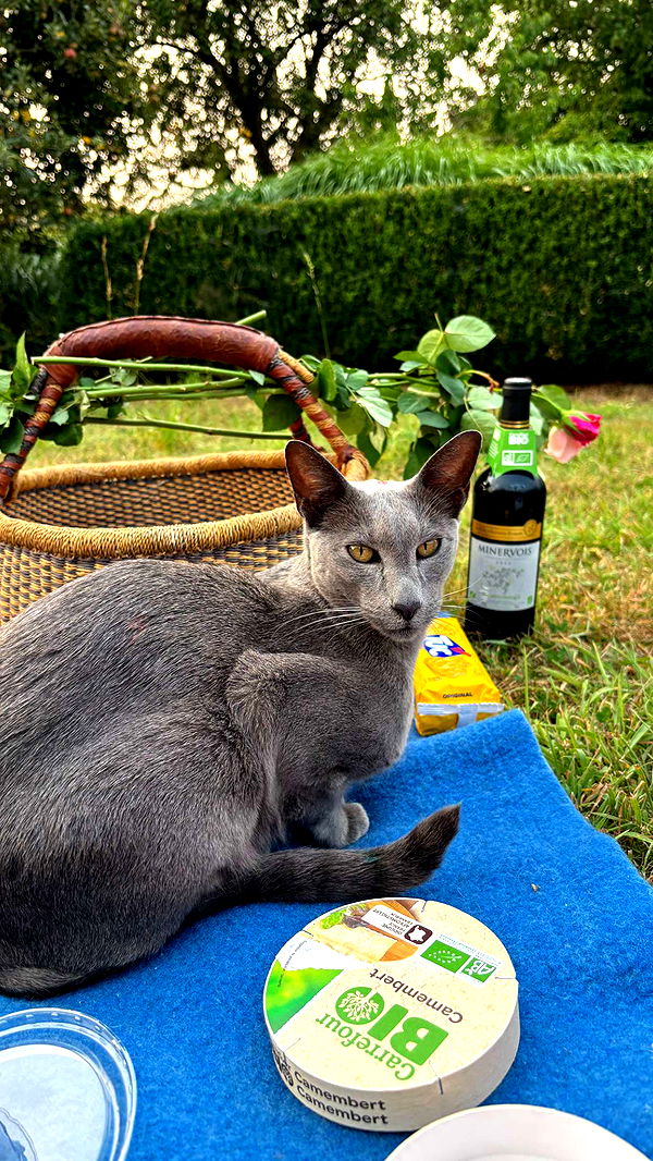 joell_perry image ~ Altpins