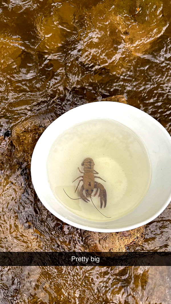 joell_perry image ~ Altpins