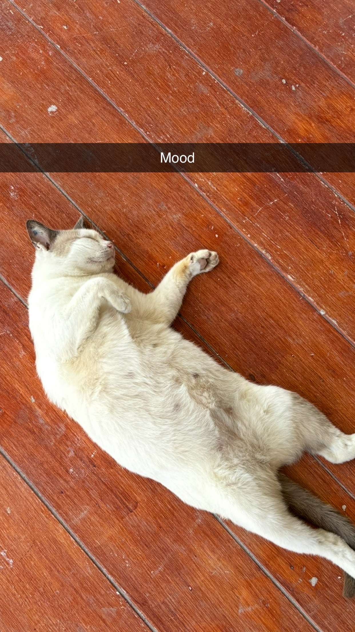 joell_perry snapchat image archive image