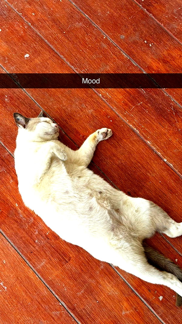 joell_perry image ~ Altpins