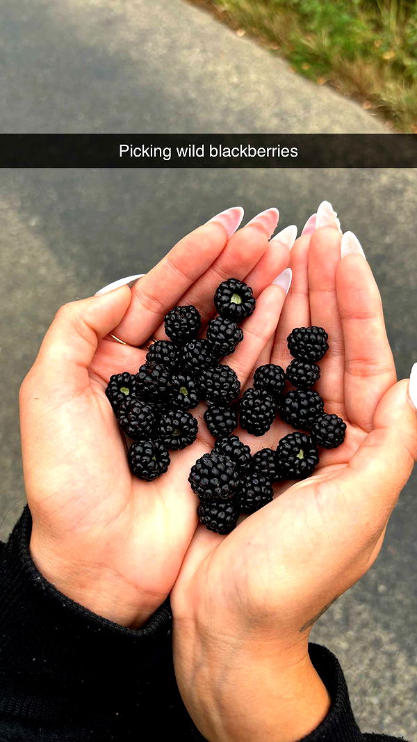 joell_perry image ~ Altpins