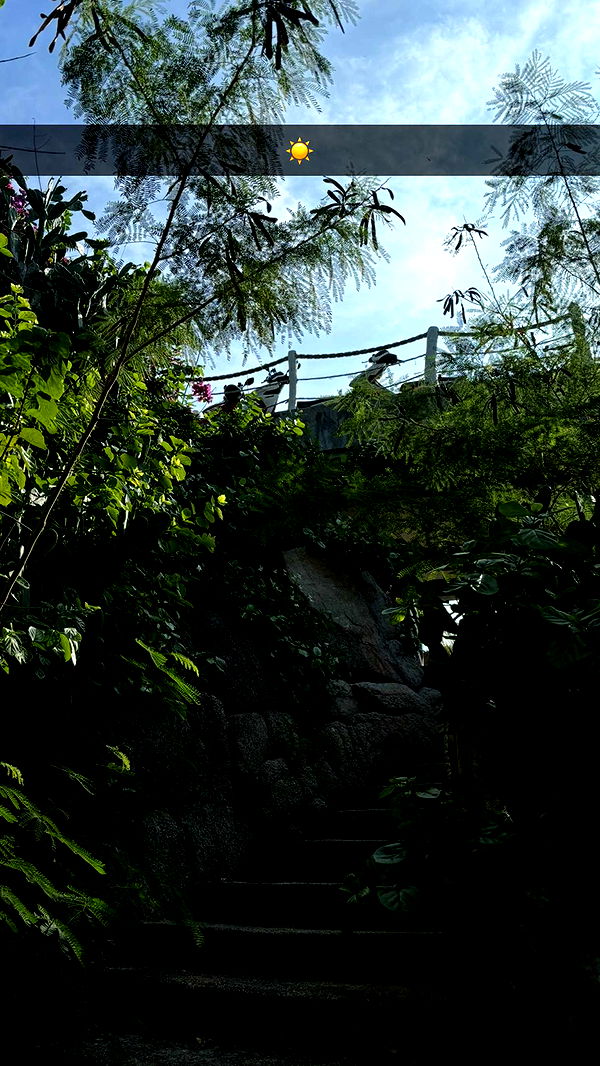 joell_perry image ~ Altpins