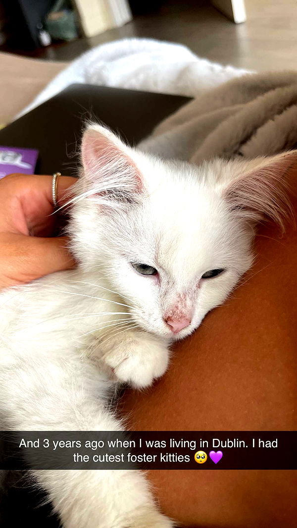 joell_perry image ~ Altpins