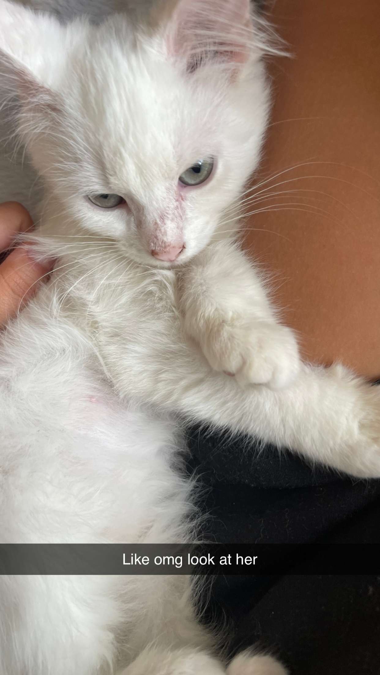 joell_perry snapchat image archive image