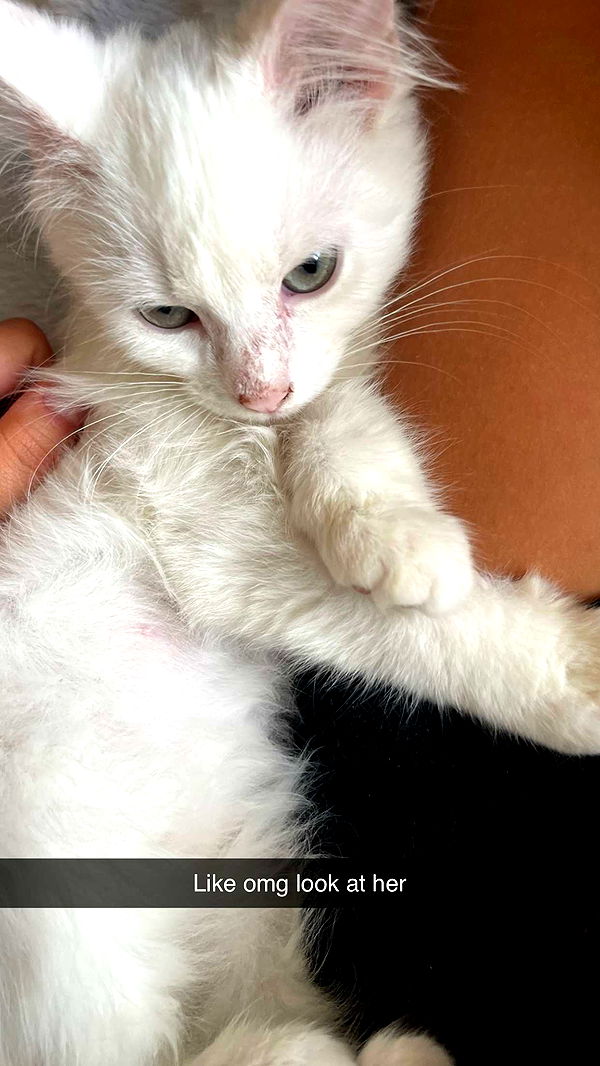 joell_perry image ~ Altpins