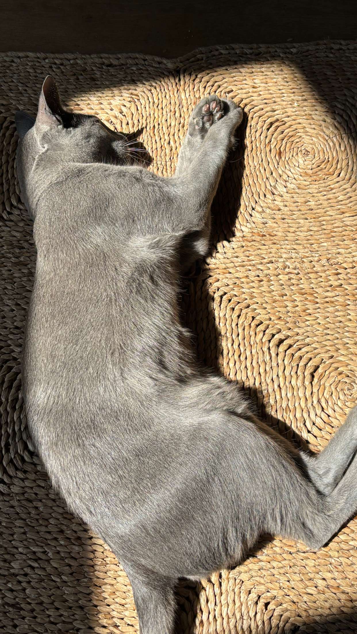 joell_perry snapchat image archive image