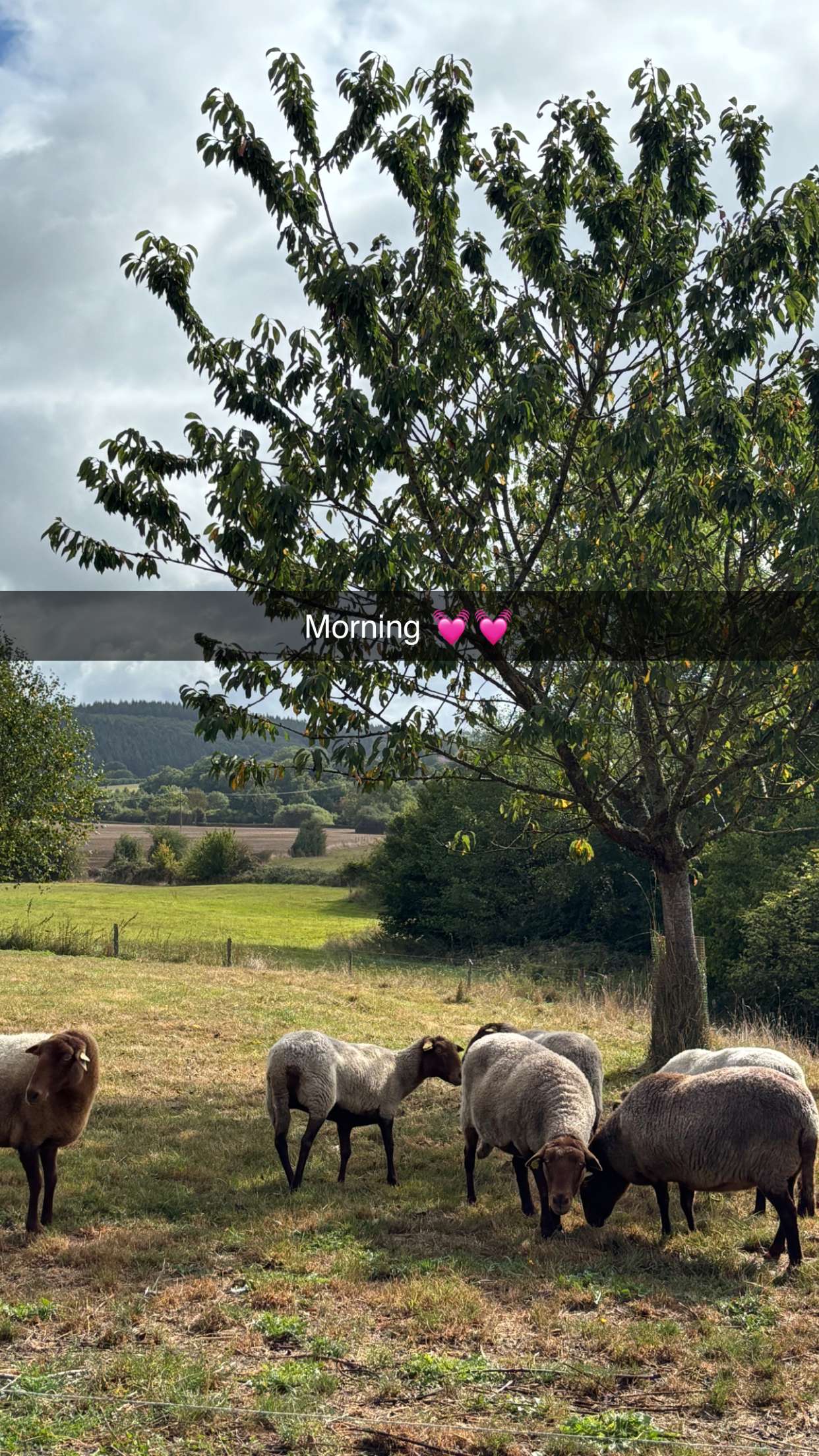 joell_perry snapchat image archive image