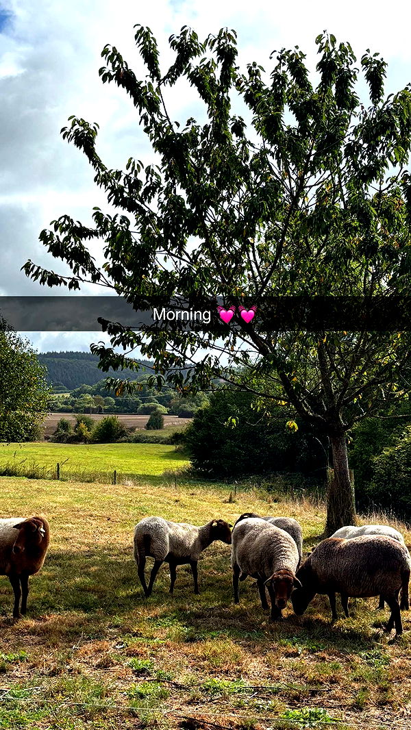 joell_perry image ~ Altpins