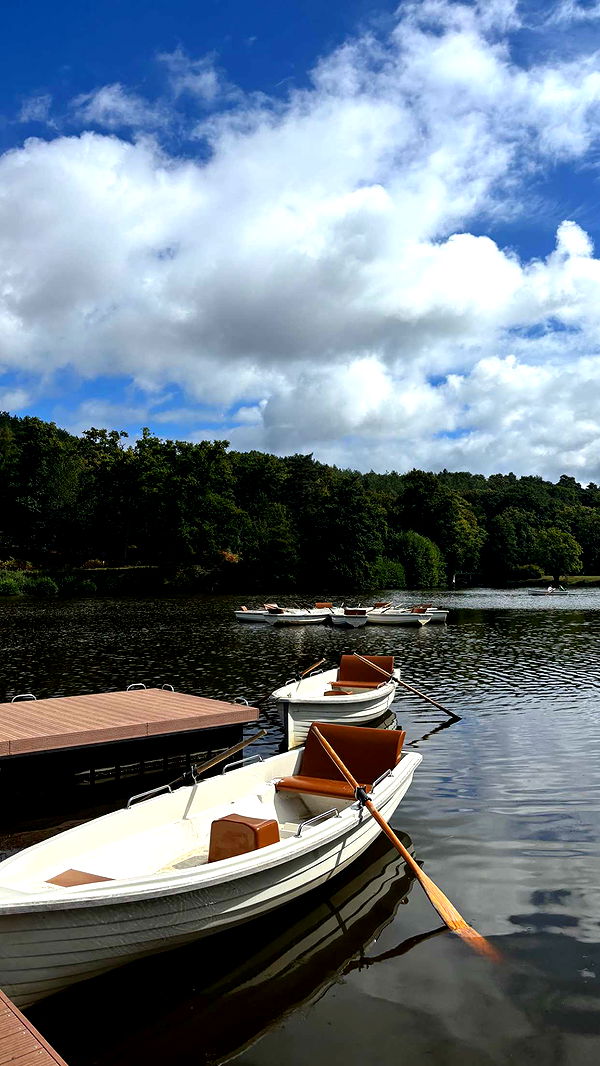 joell_perry image ~ Altpins