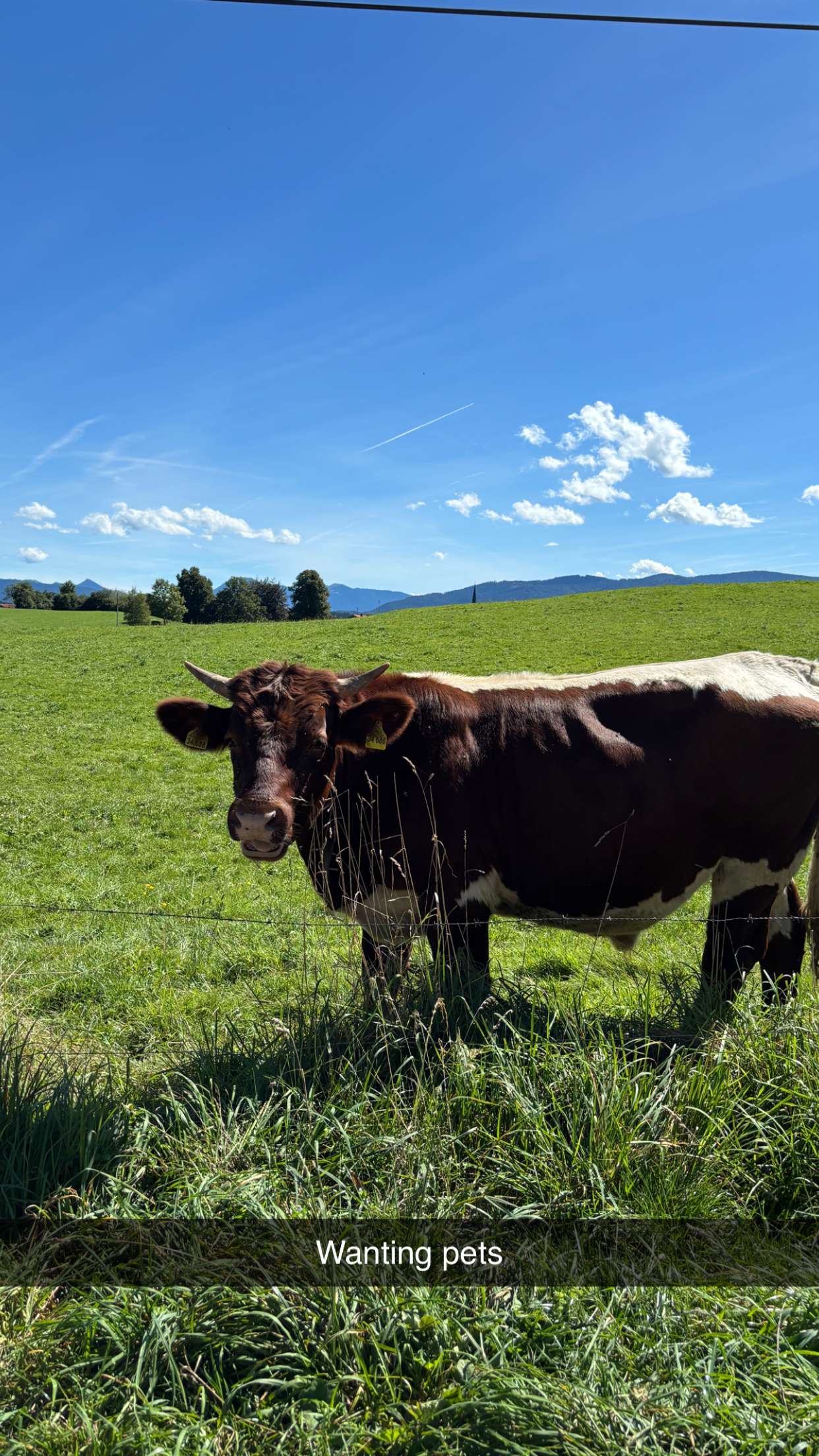 joell_perry snapchat image archive image