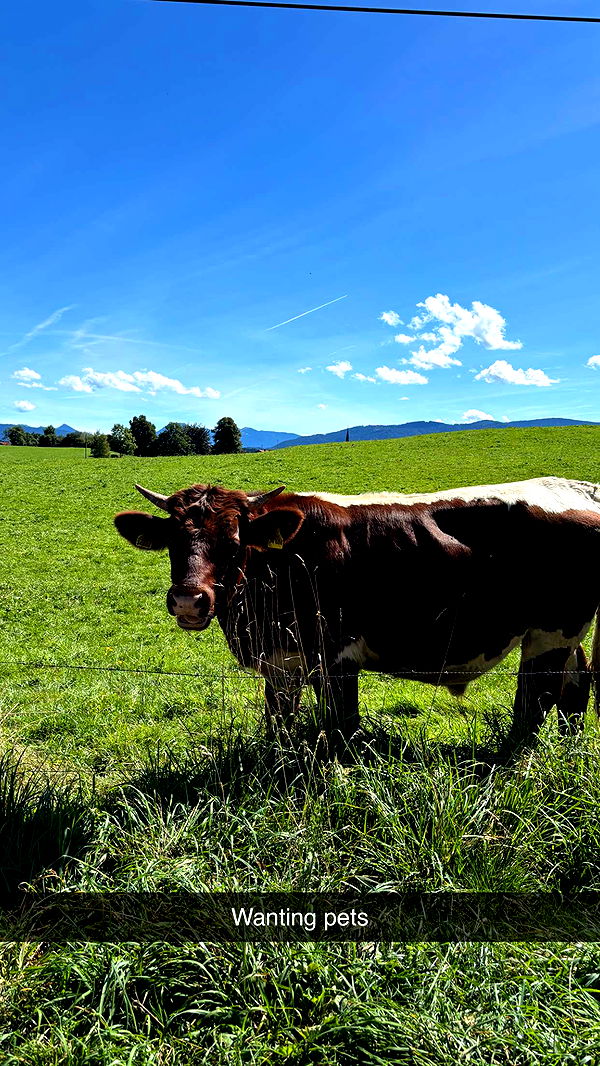 joell_perry image ~ Altpins