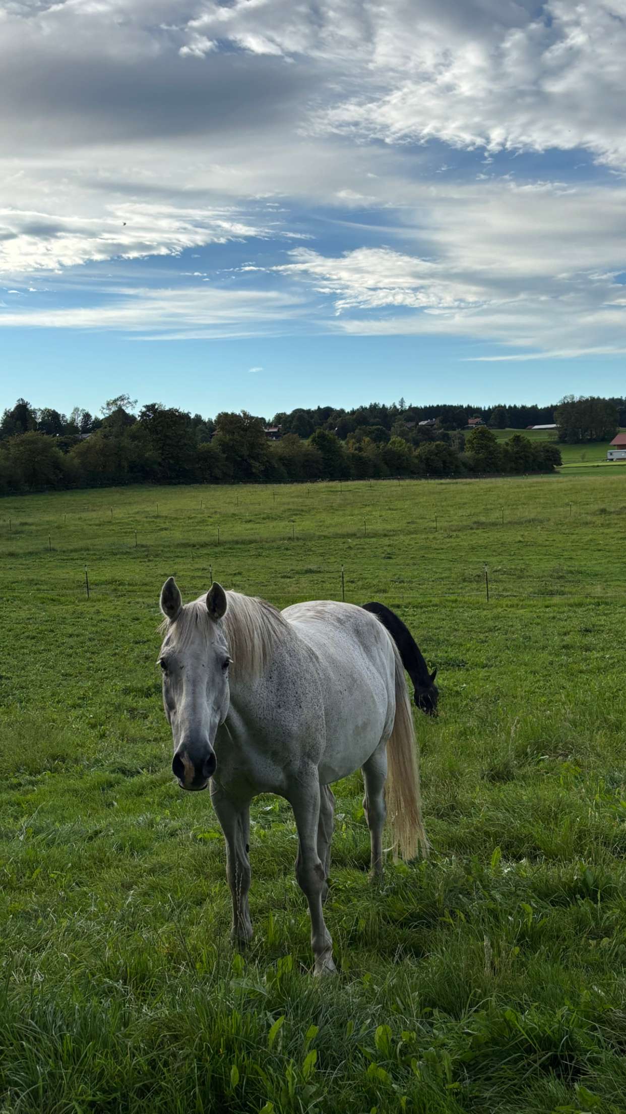 joell_perry snapchat image archive image