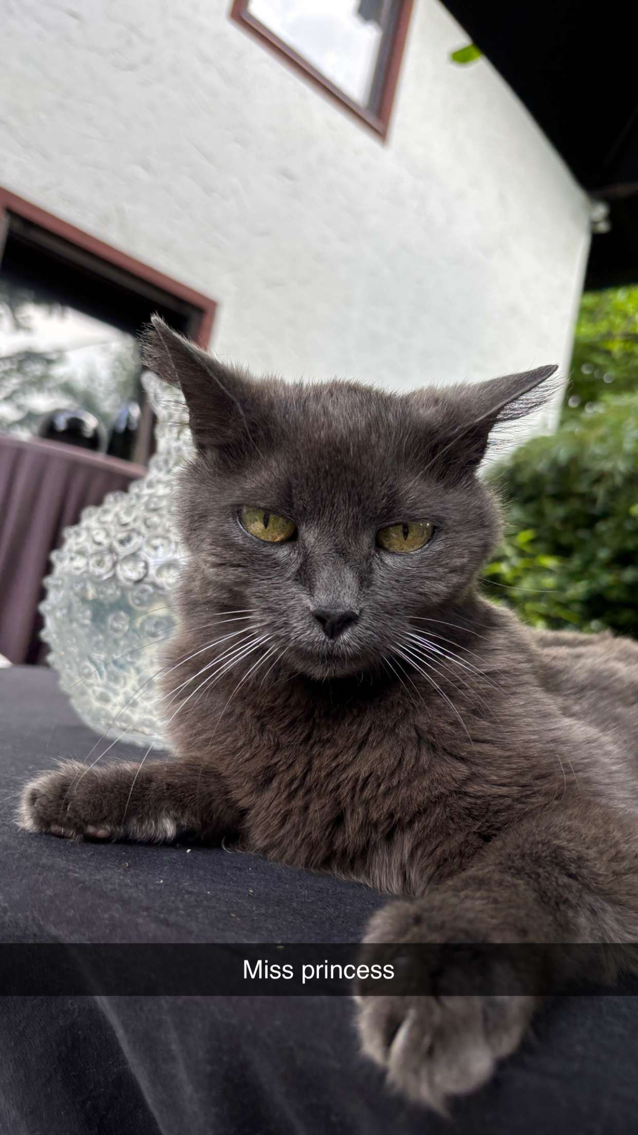 joell_perry snapchat image archive image