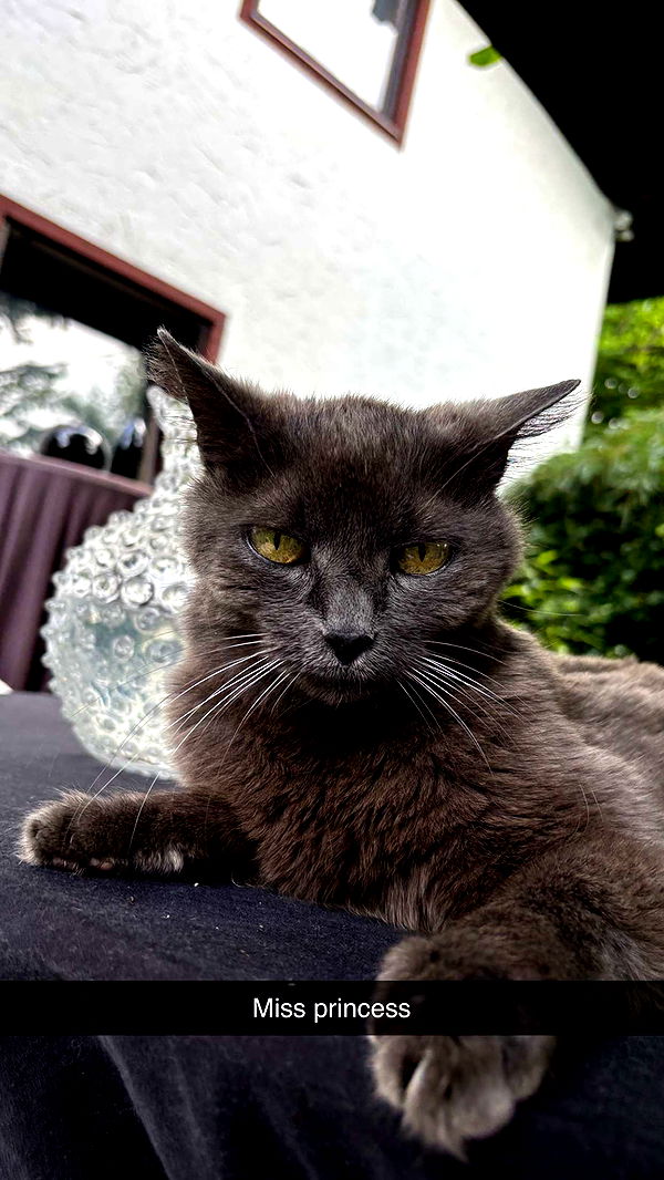 joell_perry image ~ Altpins