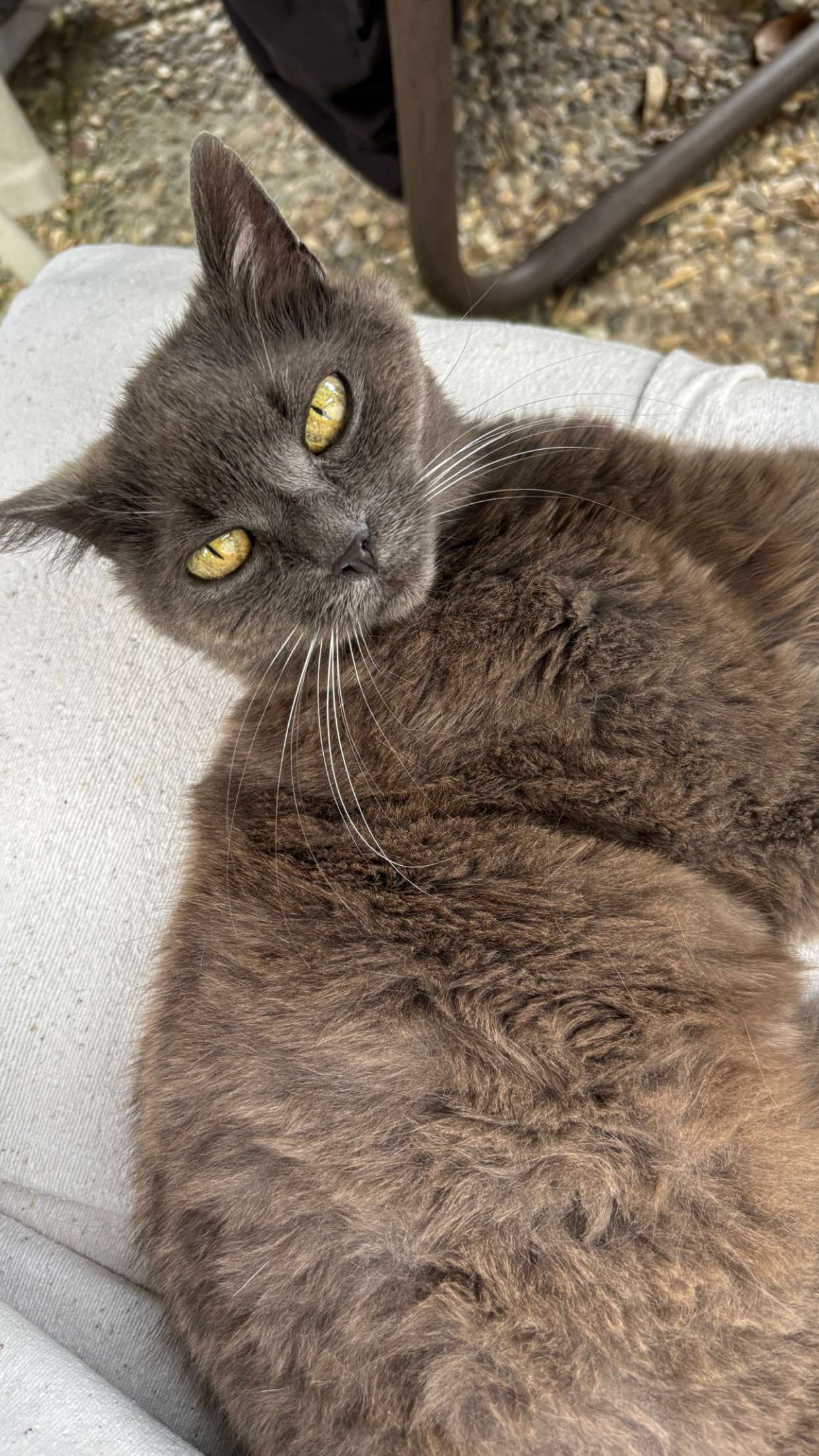 joell_perry snapchat image archive image