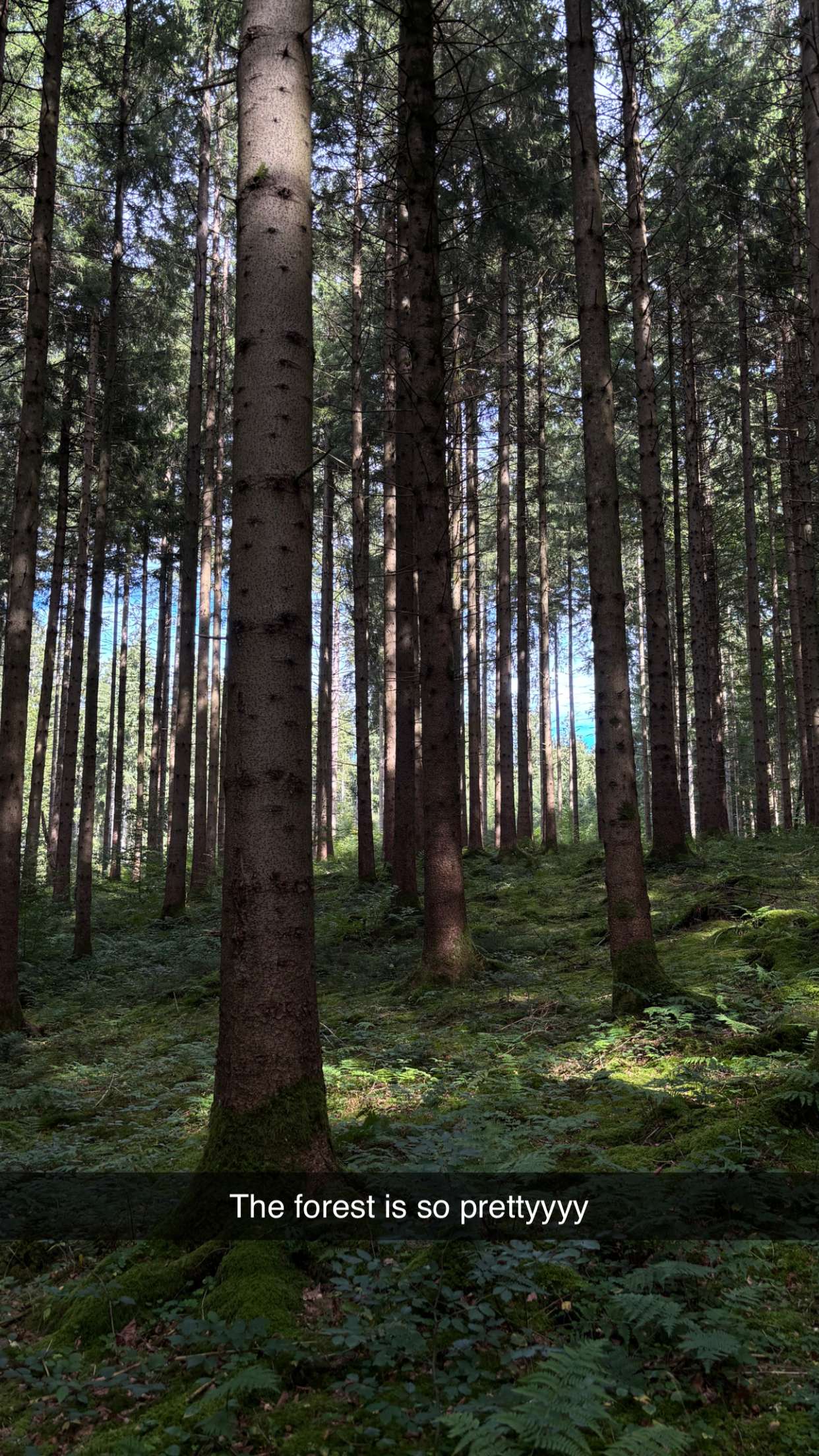 joell_perry snapchat image archive image