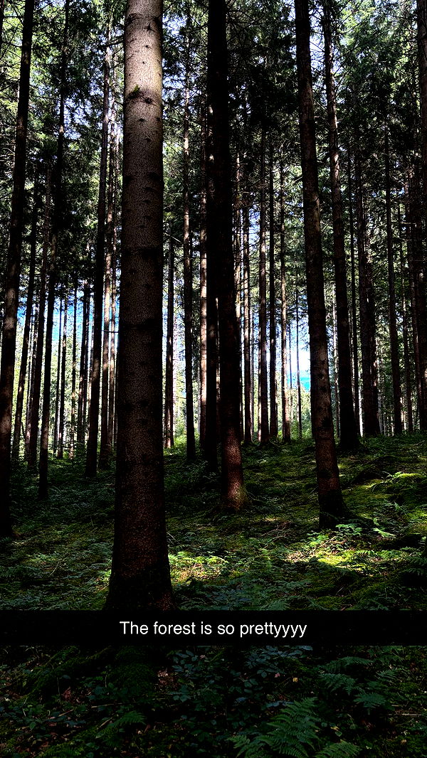 joell_perry image ~ Altpins