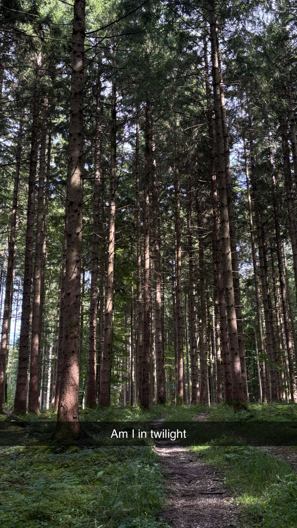 joell_perry snapchat image archive image