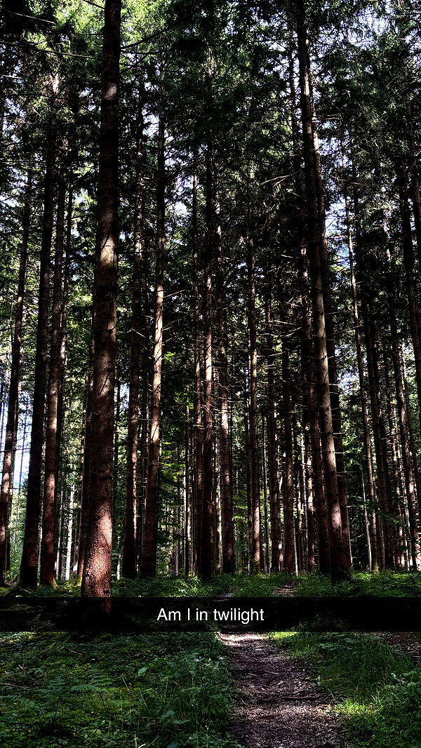 joell_perry image ~ Altpins