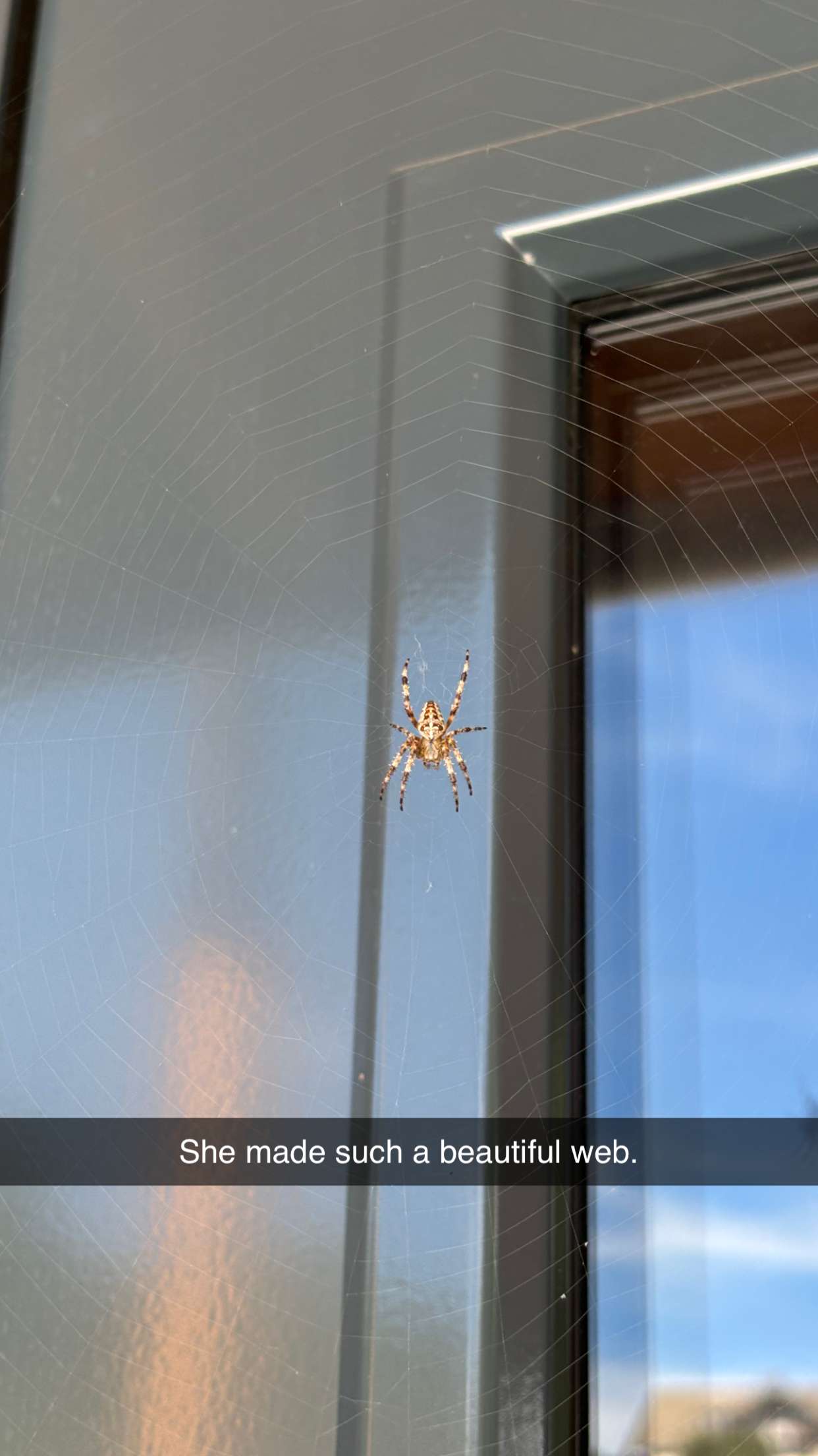 joell_perry snapchat image archive image