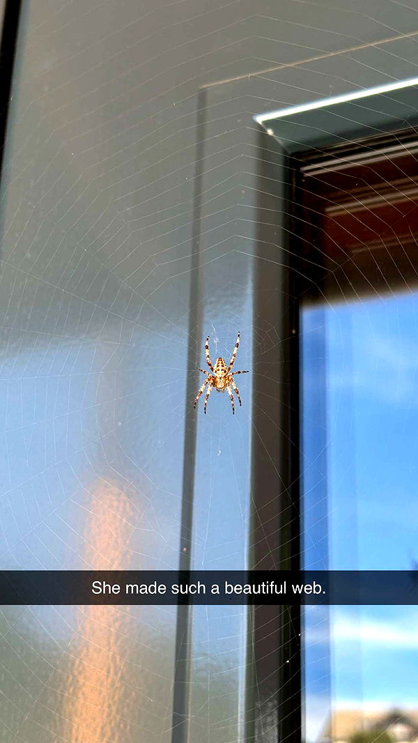 joell_perry image ~ Altpins