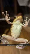 joell_perry Altpins Profile Picture