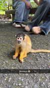 joell_perry Altpins Profile Picture