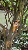 joell_perry Altpins Profile Picture