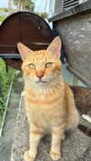 joell_perry Altpins Profile Picture
