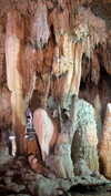 joell_perry Altpins Profile Picture