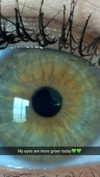 joell_perry Altpins Profile Picture