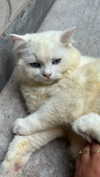 joell_perry Altpins Profile Picture