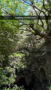 joell_perry Altpins Profile Picture