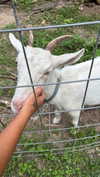 joell_perry Altpins Profile Picture
