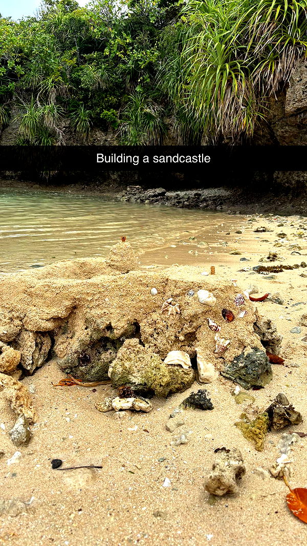 joell_perry image ~ Altpins