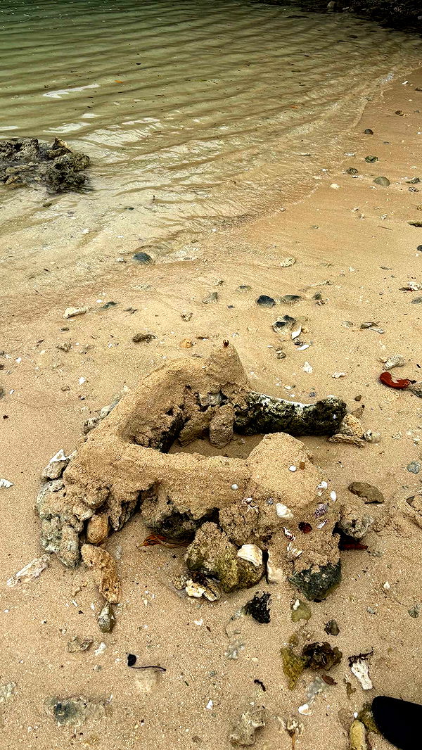 joell_perry image ~ Altpins