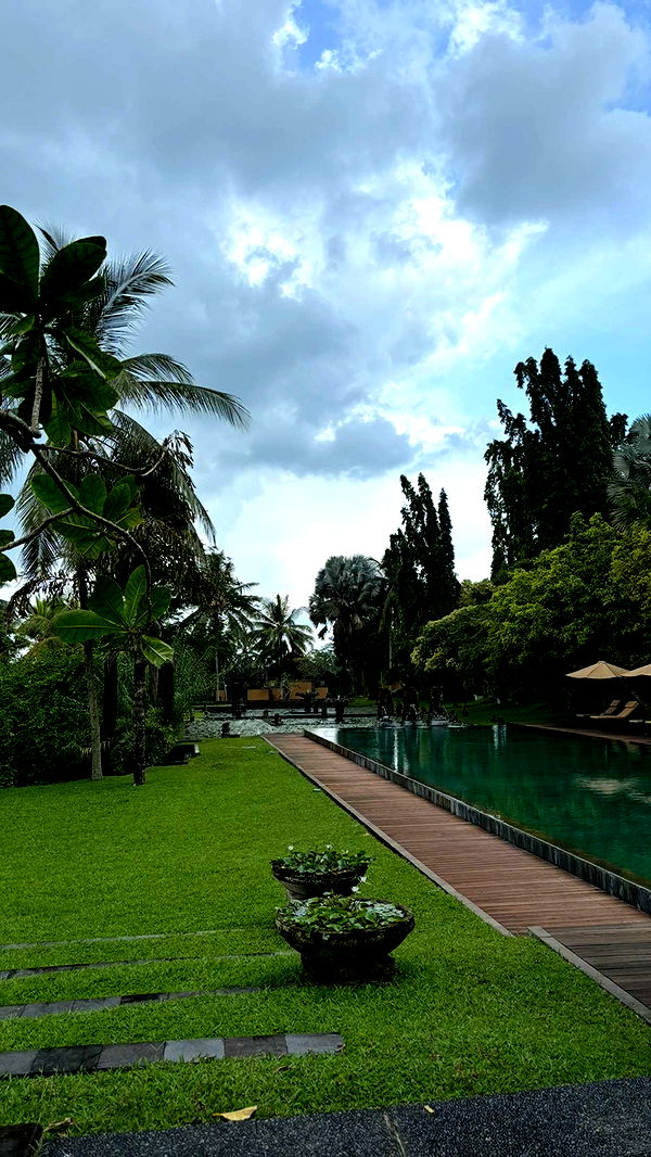 joell_perry image ~ Altpins