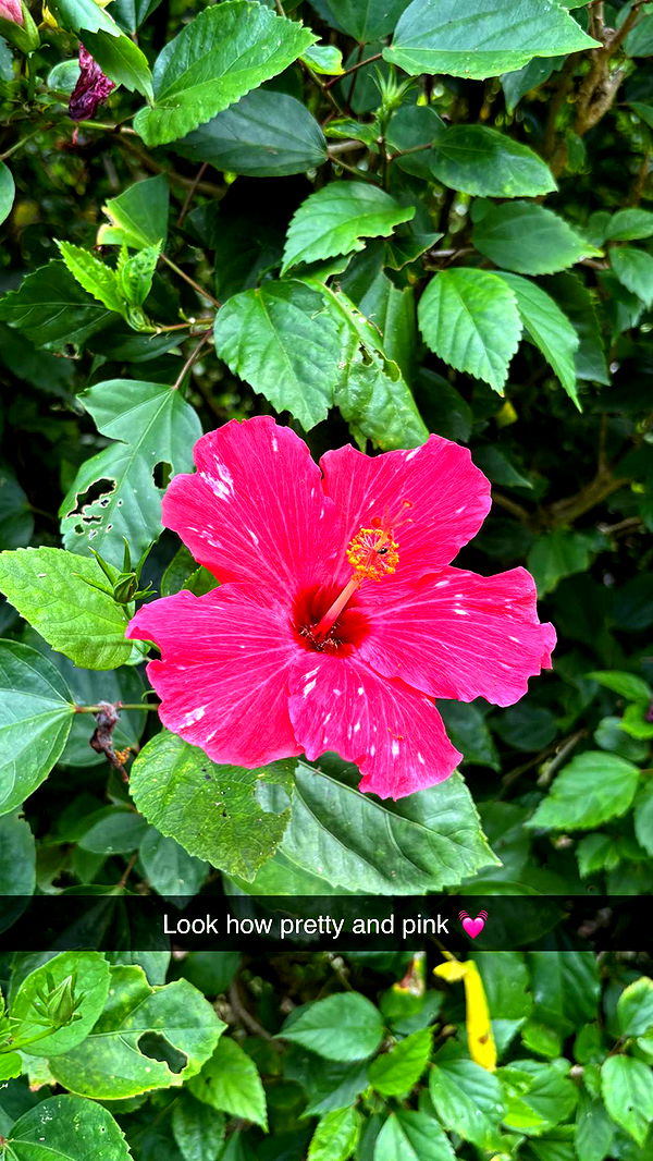 joell_perry image ~ Altpins