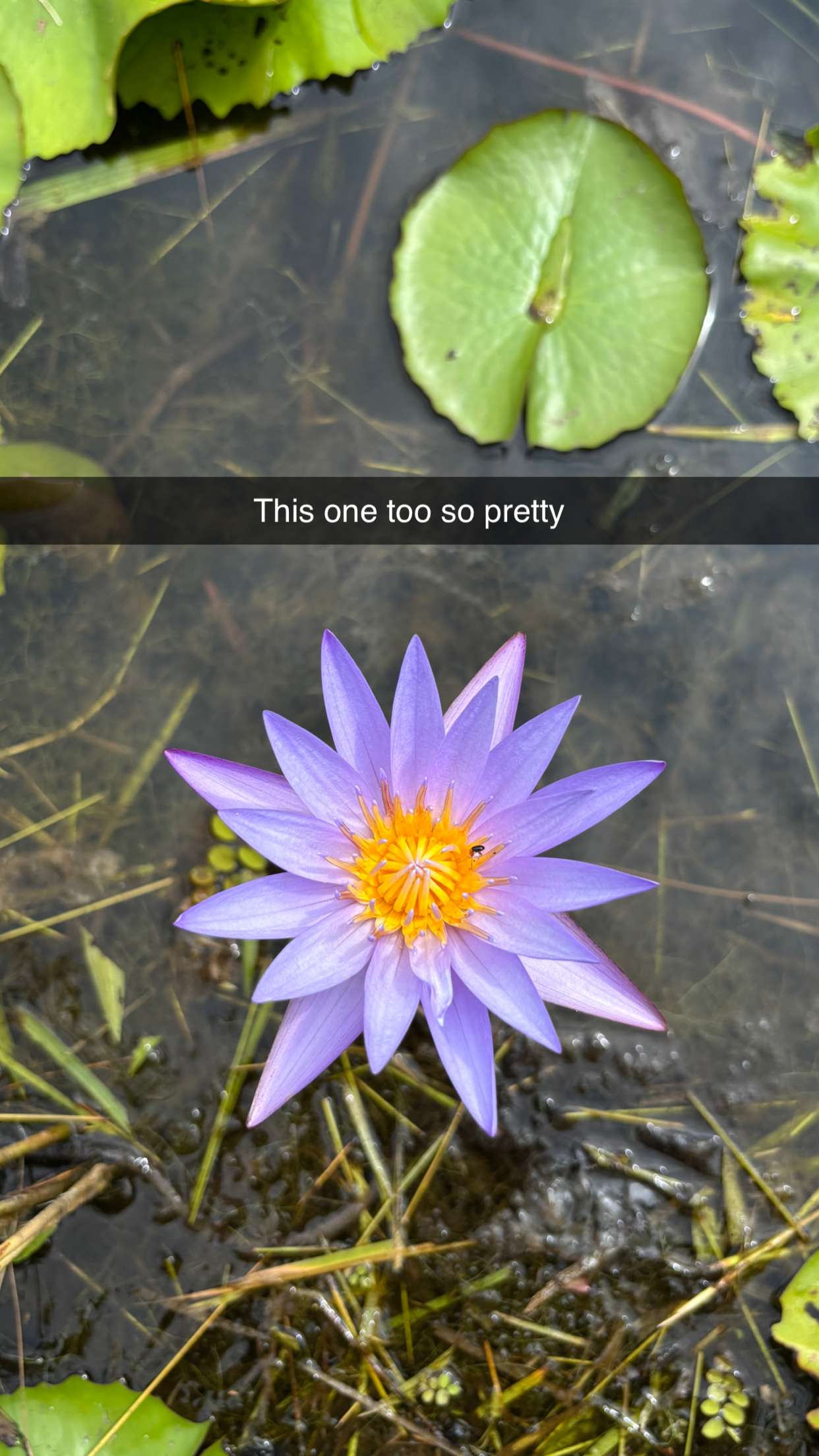 joell_perry snapchat image archive image