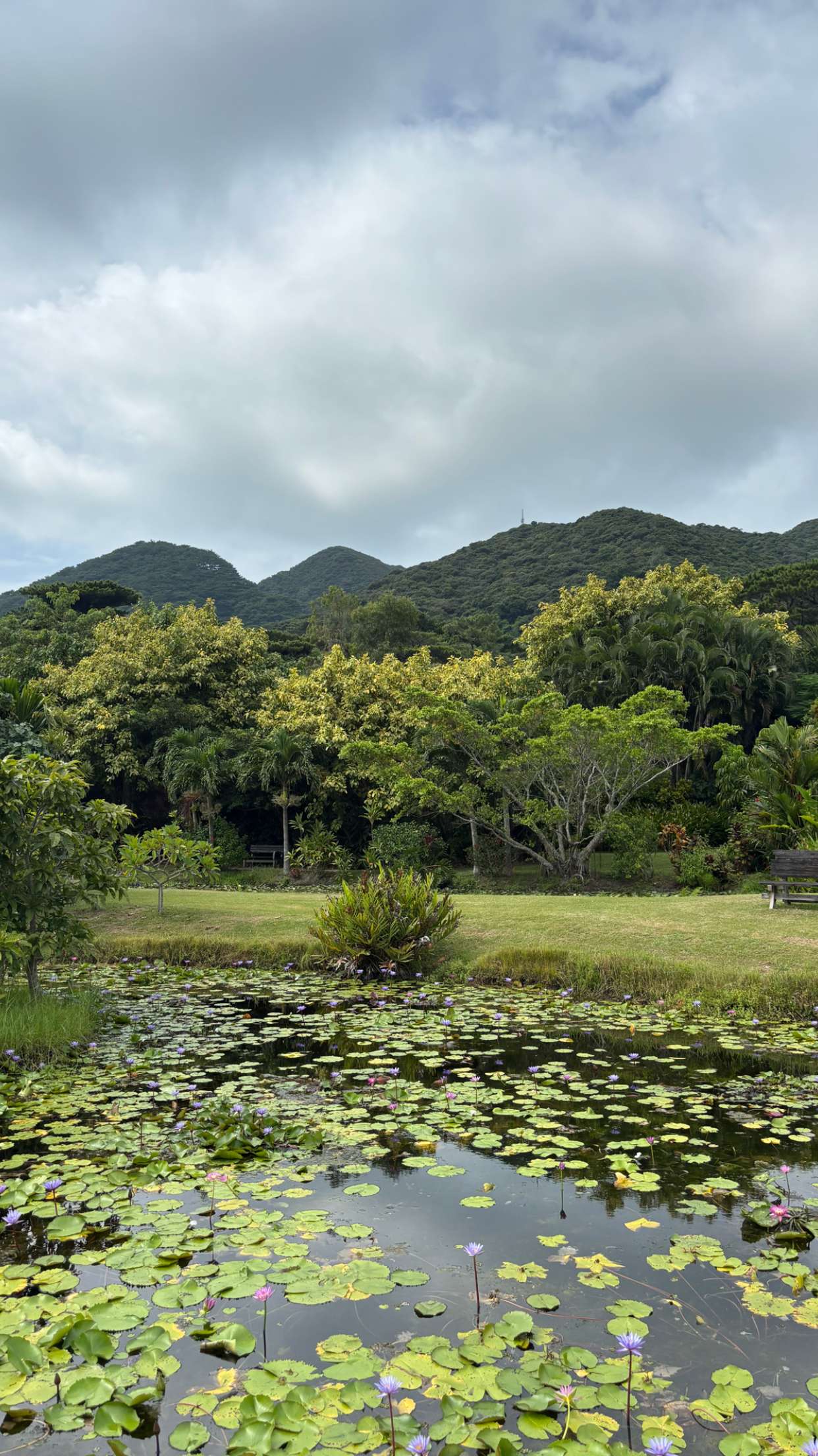 joell_perry snapchat image archive image