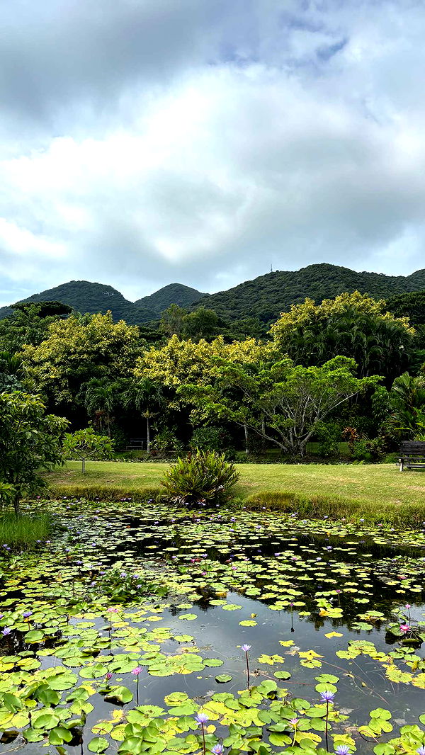 joell_perry image ~ Altpins