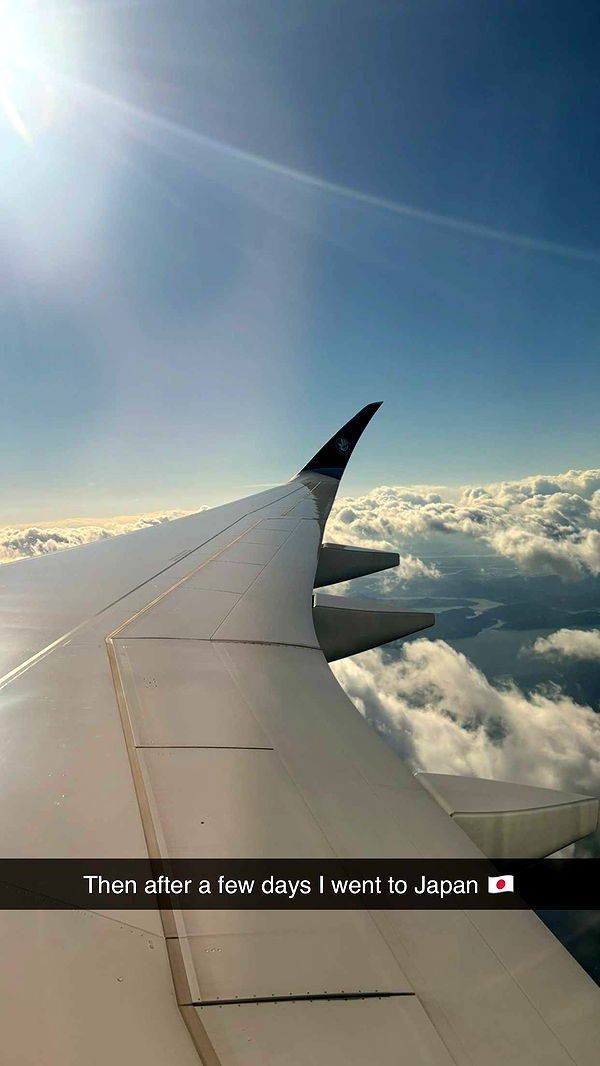 joell_perry image ~ Altpins