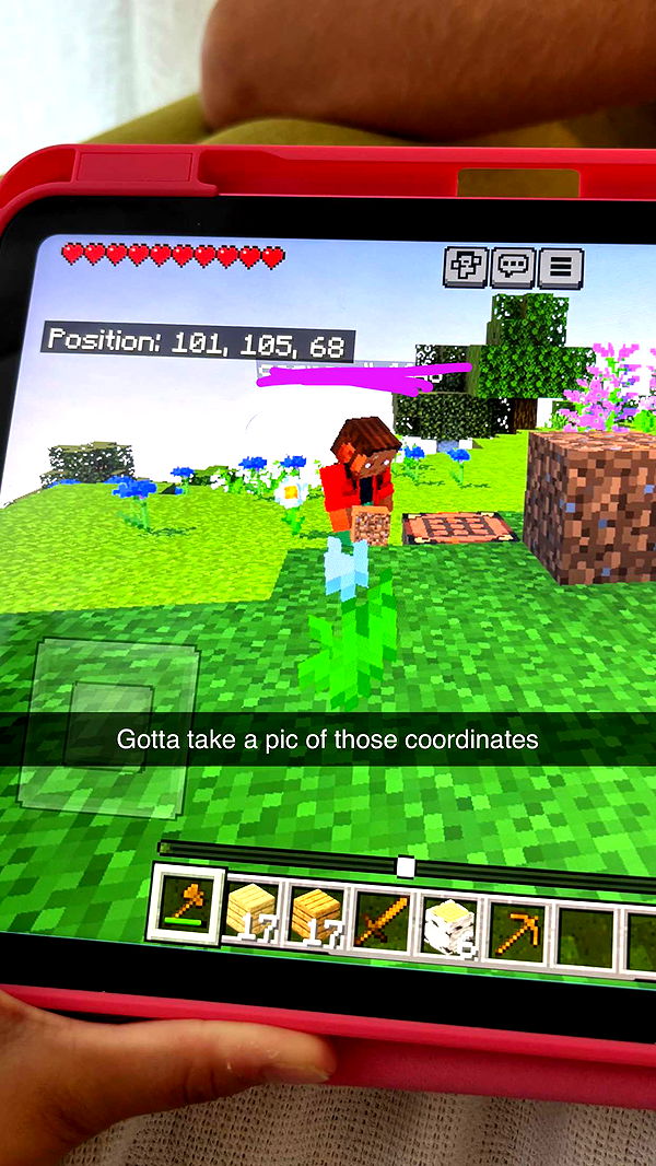 joell_perry image ~ Altpins