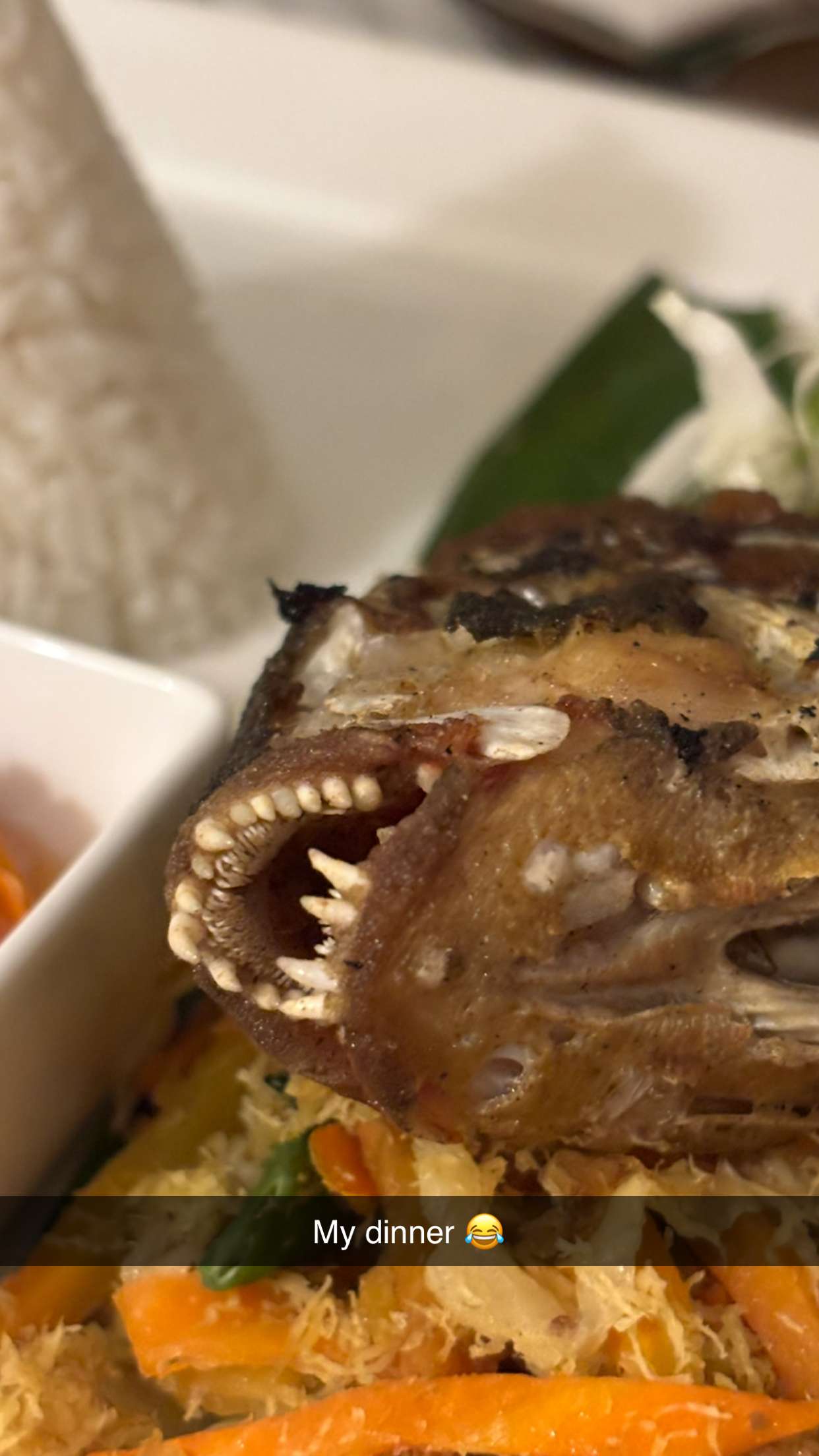 joell_perry snapchat image archive image