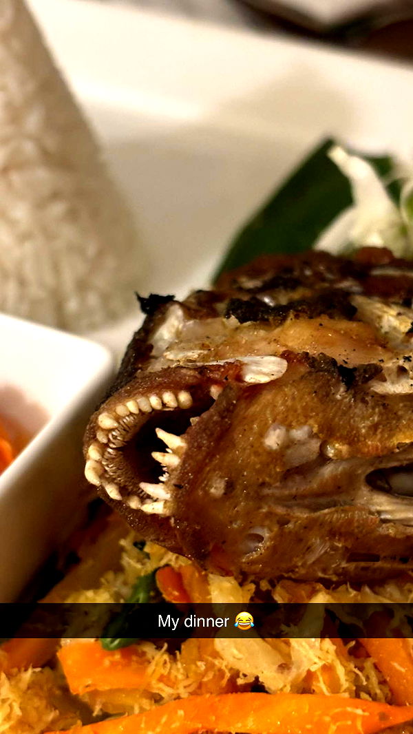 joell_perry image ~ Altpins