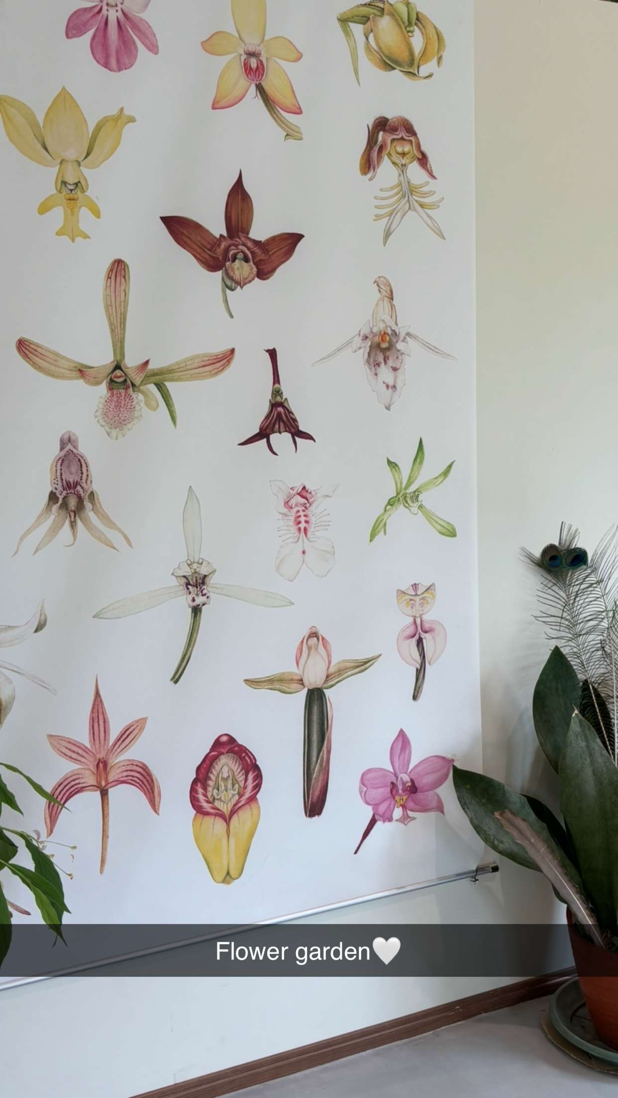 joell_perry snapchat image archive image