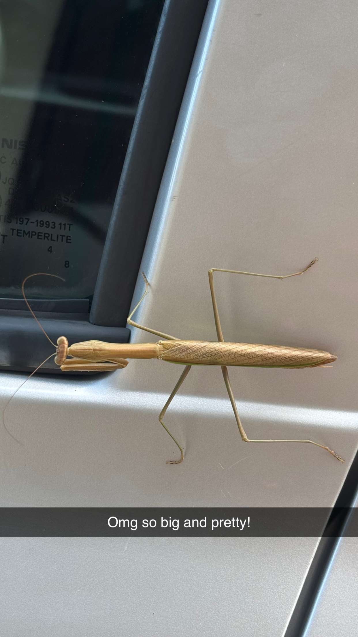 joell_perry snapchat image archive image